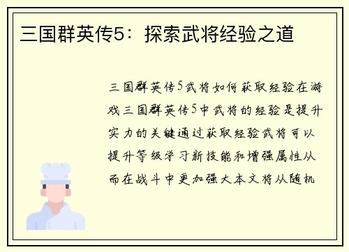 三国群英传5：探索武将经验之道